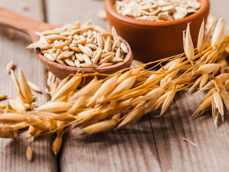 Avena